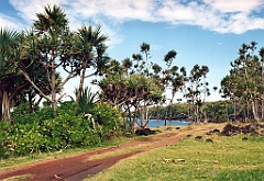 2002 - La Réunion A31